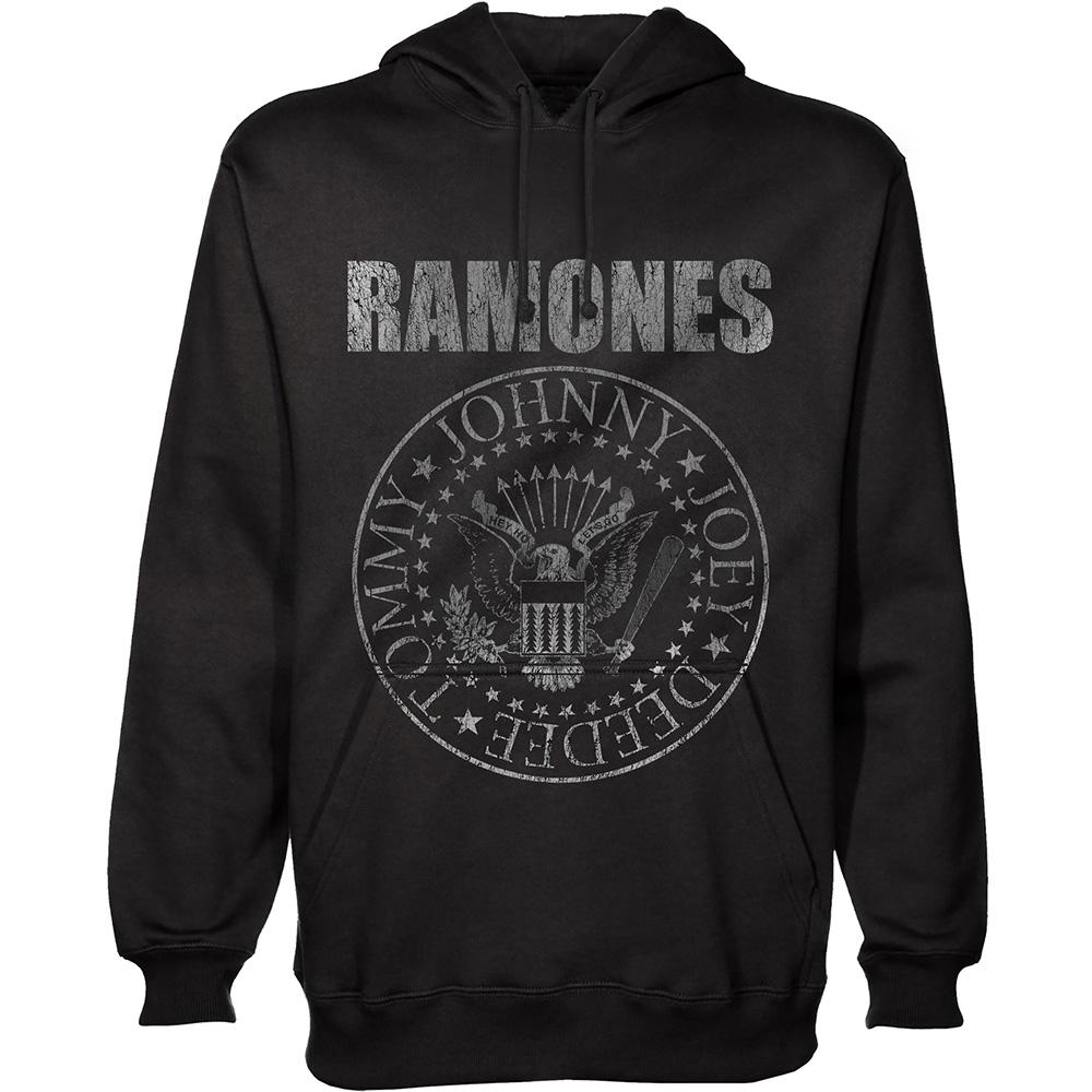 Een foto van een Ramones Hoody