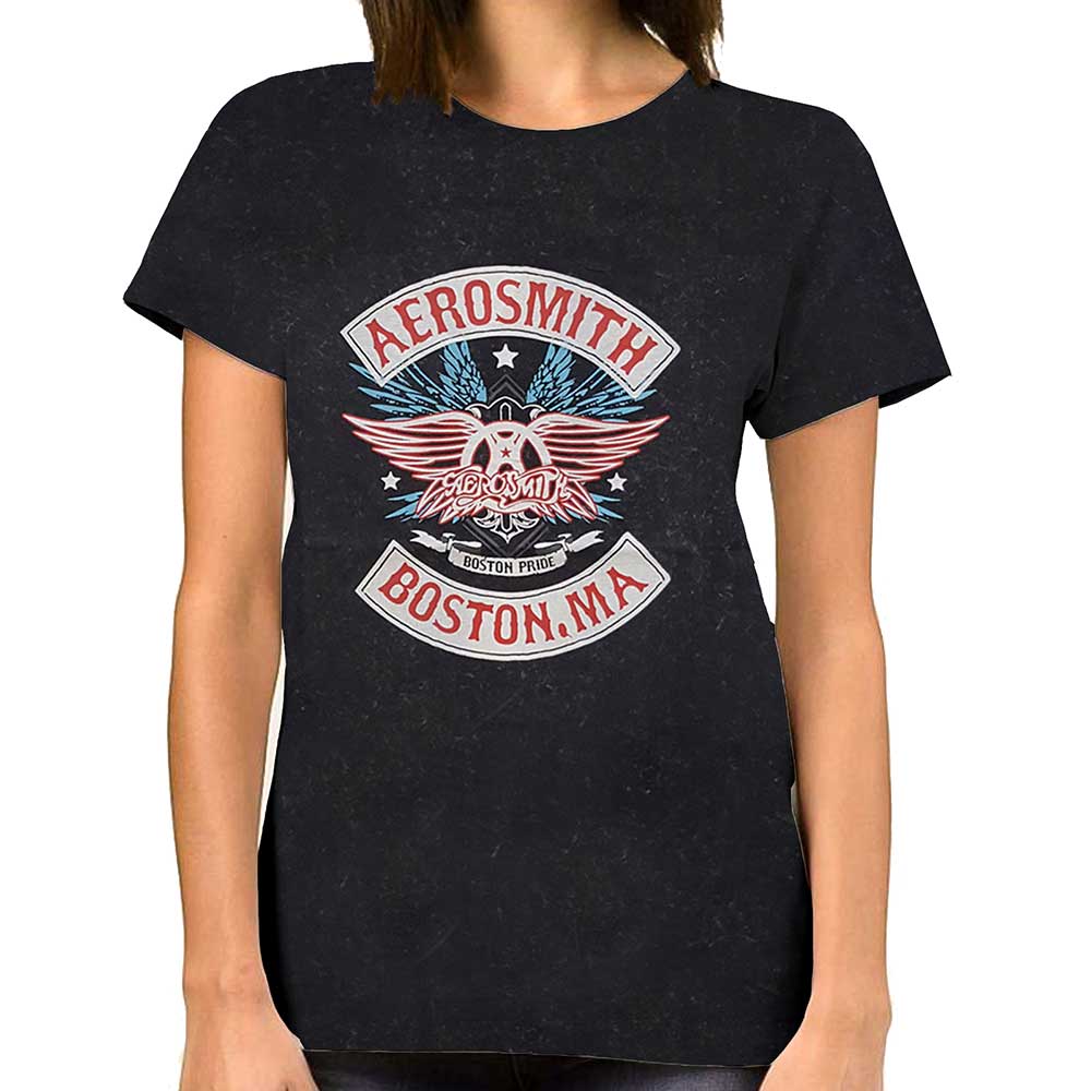 Aerosmith Unisex T-Shirt: Boston Pride (Wash Collection) T-Shirt
