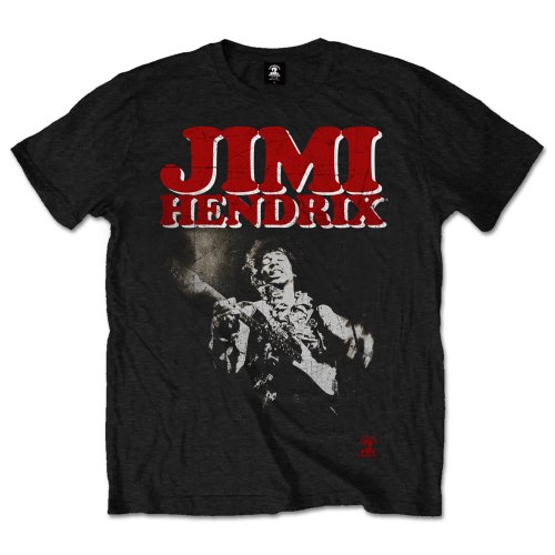Jimi Hendrix Unisex T-Shirt: Block Logo T-Shirt