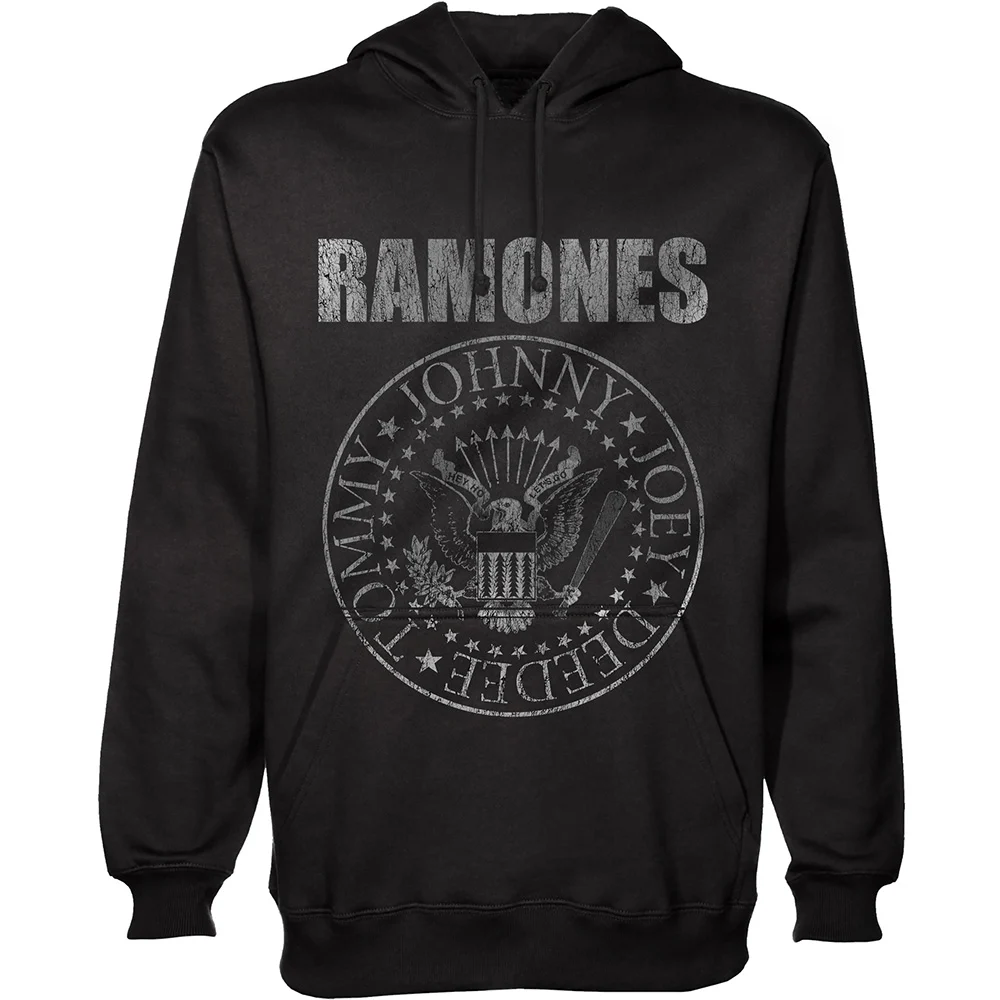 Een foto van een Ramones Hoody