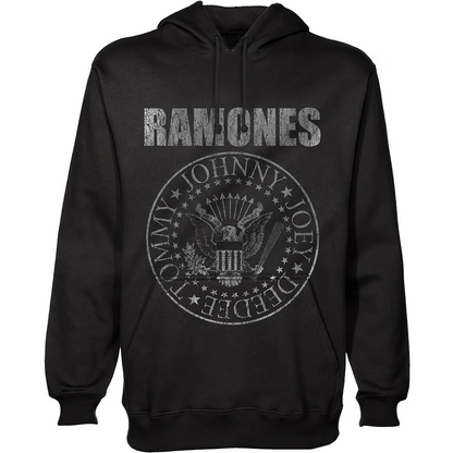 Een foto van een Ramones Hoody