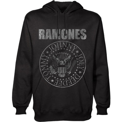 Een foto van een Ramones Hoody