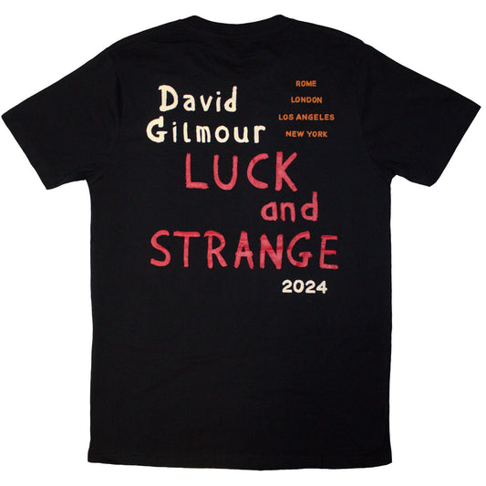 Een foto van een David Gilmour T-Shirt
