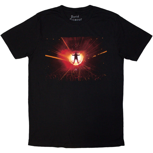 Een foto van een David Gilmour T-Shirt