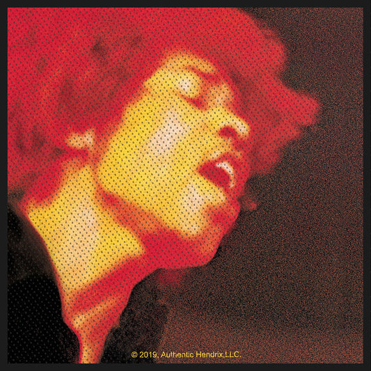 Jimi Hendrix Standard Patch: Electric Ladyland (Loose) Standaard patch